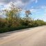  Land for sale in Motul, Yucatan, Motul