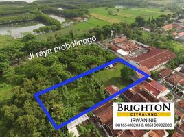  Land for sale in Probolin, East Jawa, Kademangan, Probolin