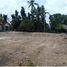  Land for sale in Prambanan, Klaten, Prambanan