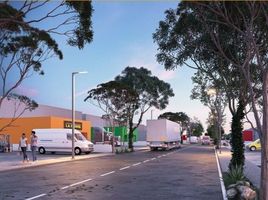  Terreno (Parcela) en venta en Motul, Yucatán, Motul