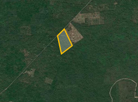  Land for sale in Tixkokob, Yucatan, Tixkokob