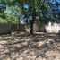  Land for rent in Manzanillo, Colima, Manzanillo
