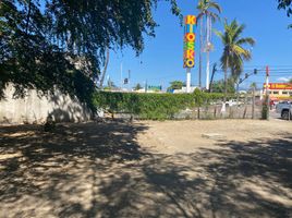  Land for rent in Manzanillo, Colima, Manzanillo