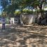  Land for rent in Manzanillo, Colima, Manzanillo