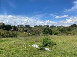  Land for sale in Marinilla, Antioquia, Marinilla