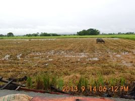  Land for sale in Pangasinan, Ilocos, Balungao, Pangasinan