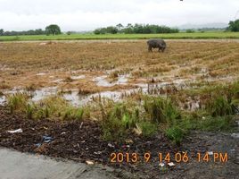  Land for sale in Balungao, Pangasinan, Balungao