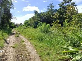  Land for sale in Uluwatu Temple, Kuta, Kuta