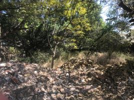  Grundstück zu verkaufen in Cuernavaca, Morelos, Cuernavaca, Morelos