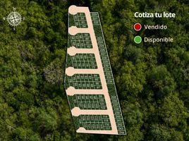 Terrain à vendre à Conkal, Yucatan, Conkal, Yucatan