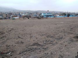  Terrain for sale in Callao, Ventanilla, Callao, Callao