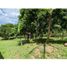  Terreno (Parcela) en venta en Coatepec, Veracruz, Coatepec