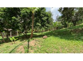  Terreno (Parcela) en venta en Coatepec, Veracruz, Coatepec