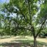 Studio House for sale in Delicias, Chihuahua, Delicias