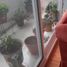 Condominium 3 chambre à vendre à San Luis Potosi, San Luis Potosi, San Luis Potosi, San Luis Potosi