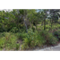 Terrain à vendre à Cozumel, Quintana Roo, Cozumel