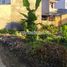  Land for sale in District 9 Ho Chi Minh City, Long Thanh My, District 9