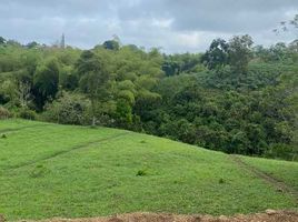  Land for sale in Dosquebradas, Risaralda, Dosquebradas