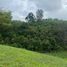  Land for sale in Dosquebradas, Risaralda, Dosquebradas