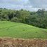  Land for sale in Dosquebradas, Risaralda, Dosquebradas