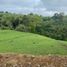  Land for sale in Dosquebradas, Risaralda, Dosquebradas