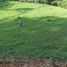  Land for sale in Dosquebradas, Risaralda, Dosquebradas