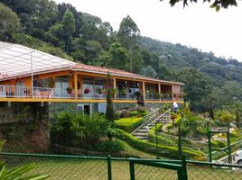 4 Bedroom House for sale in Valle Del Cauca, Cali, Valle Del Cauca