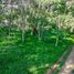  Land for sale in Capital, Salta, Capital