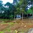  Land for sale in Bogor, West Jawa, Ciomas, Bogor