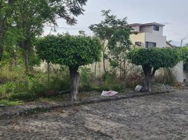  Grundstück zu verkaufen in Cuernavaca, Morelos, Cuernavaca