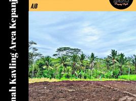  Land for sale in Kepanjen, Malang Regency, Kepanjen