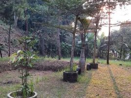  Land for sale in Sukabumi, West Jawa, Sukabumi, Sukabumi