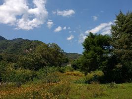  Grundstück zu verkaufen in Joquicingo, Mexico, Joquicingo
