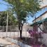  Land for rent in Torreon, Coahuila, Torreon