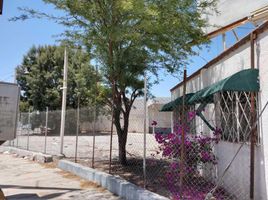  Grundstück zu vermieten in Torreon, Coahuila, Torreon