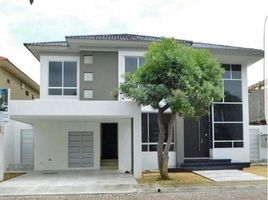 4 Bedroom Villa for sale in Samborondon, Guayas, Samborondon, Samborondon