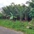  Terreno (Parcela) en venta en Seyegan, Yogyakarta, Seyegan