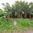  Terreno (Parcela) en venta en Seyegan, Yogyakarta, Seyegan