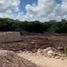  Land for sale in Mococha, Yucatan, Mococha