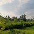  Terreno (Parcela) en venta en Ginyar, Bali, Ginyar, Gianyar, Bali, Indonesia