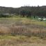  Land for sale in Canar, San Miguel, Azogues, Canar