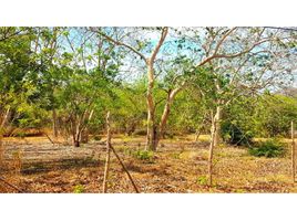  Terreno (Parcela) en venta en Panamá Oeste, Nueva Gorgona, Chame, Panamá Oeste