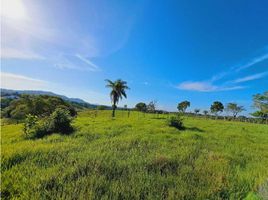 Studio Villa zu verkaufen in David, Chiriqui, San Pablo Viejo