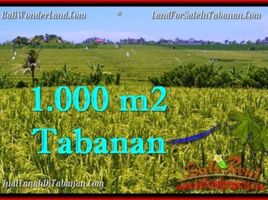  Land for sale in Selemadeg, Tabanan, Selemadeg