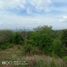  Terrain for sale in Seririt, Buleleng, Seririt