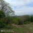  Land for sale in Buleleng, Bali, Seririt, Buleleng