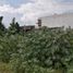 Land for sale in Tarimbaro, Michoacan, Tarimbaro