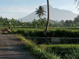  Land for sale in Yogyakarta, Kalasan, Sleman, Yogyakarta