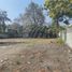  Land for rent in Tlaltizapan, Morelos, Tlaltizapan, Morelos