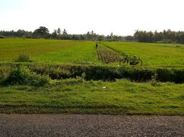  Tanah for sale in Pengasih, Kulon Progo, Pengasih